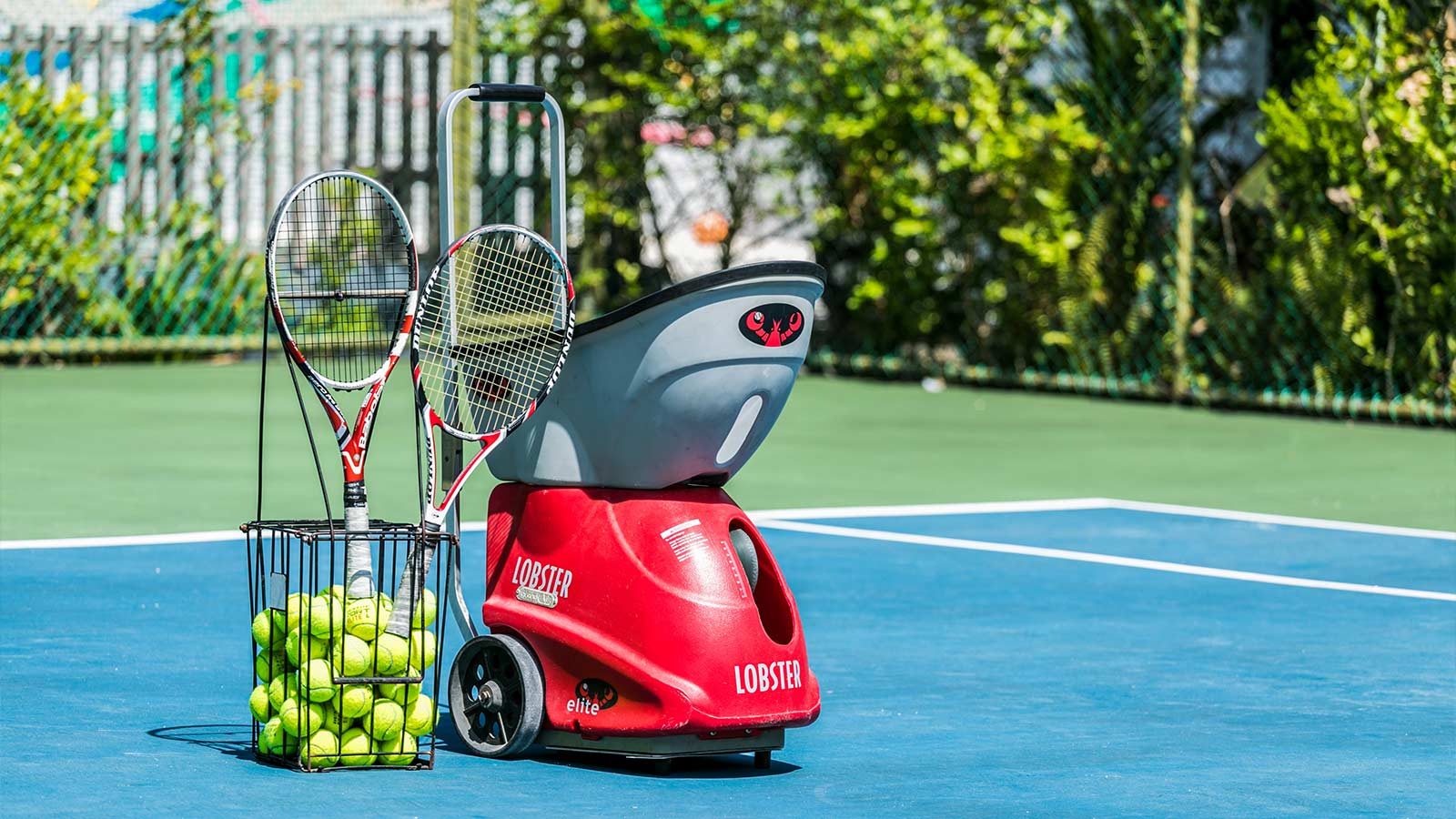 tennis tennis
